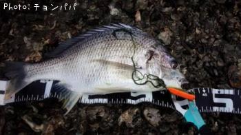 ӥ