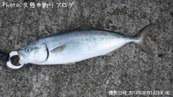 ʥ