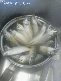 ޥ륽