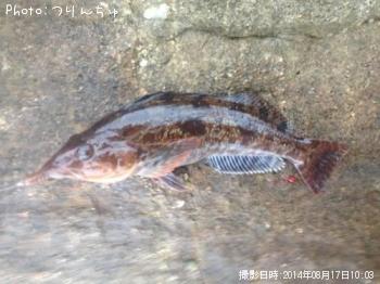 ʥ