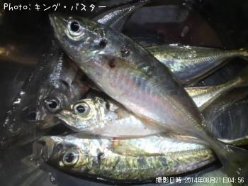 アジ