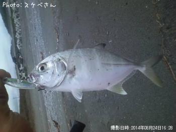 メッキ