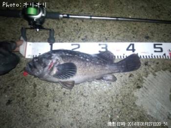 クロソイ