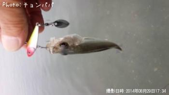 Хߥ