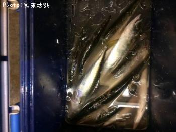 カマス＆さば