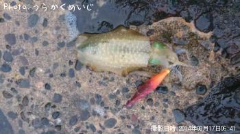 ꥤ