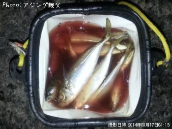 アジ