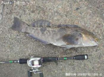 ʥ