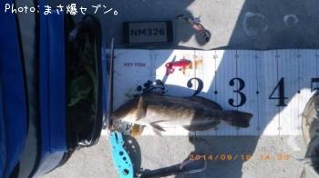 アイナメ
