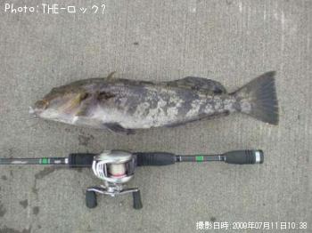 アイナメ