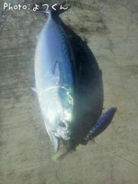 ҥ饽
