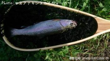 쥤ܡȥ饦