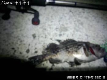 クロソイ
