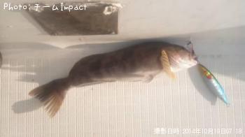 ʥ