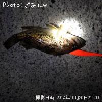 クロソイ