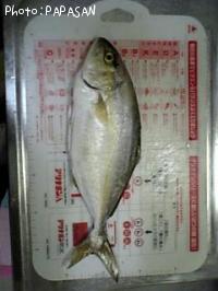 カンパチ