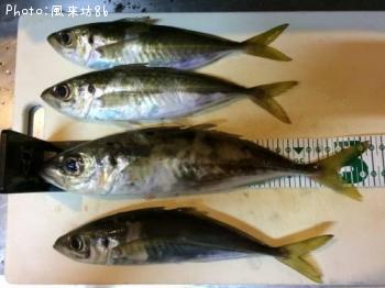 アジ