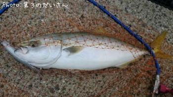 䥺