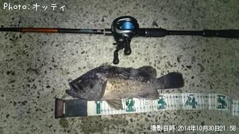 クロソイ