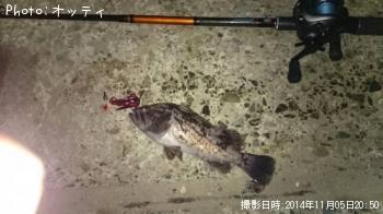 クロソイ