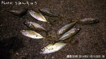 アジ