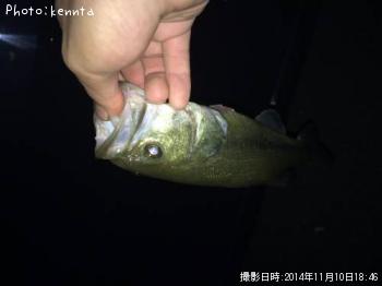 ֥åХ
