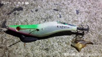 カワハギ