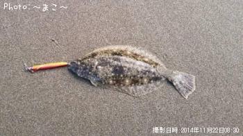 ソゲ