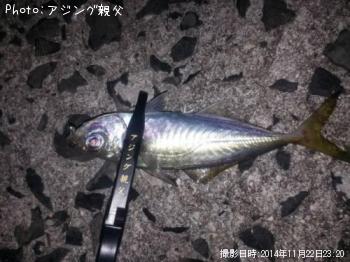 アジ