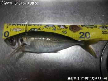 アジ