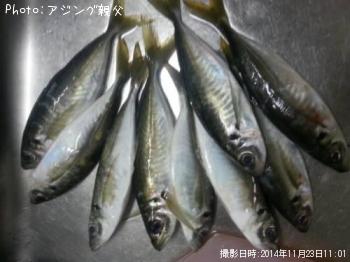 アジ
