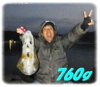 アオリイカ