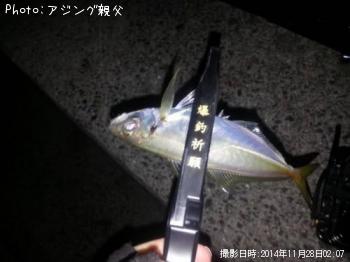アジ