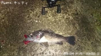 クロソイ
