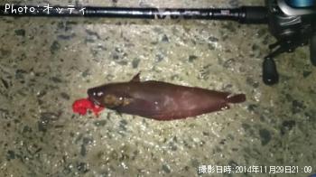 クロソイ