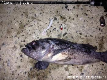 クロソイ