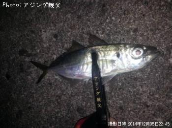 アジ