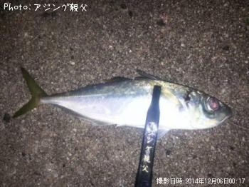 アジ