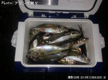 アジ