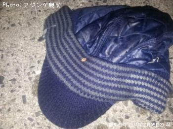 ダイワのニット帽