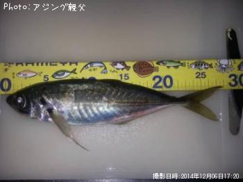 アジ