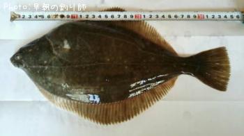 イシガレイ