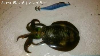 ҥ