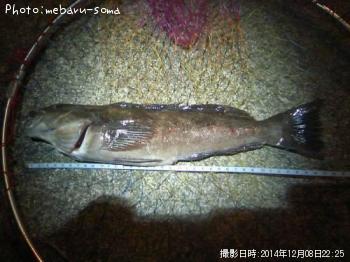 ʥ