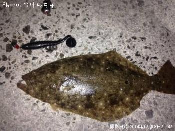 ヒラメ