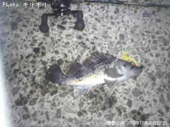 クロソイ