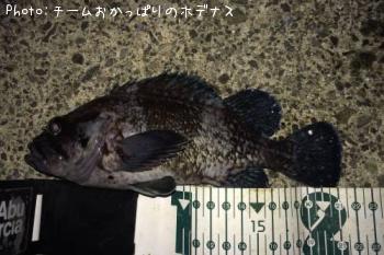 クロソイ