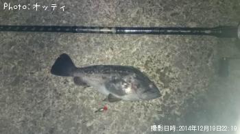 クロソイ