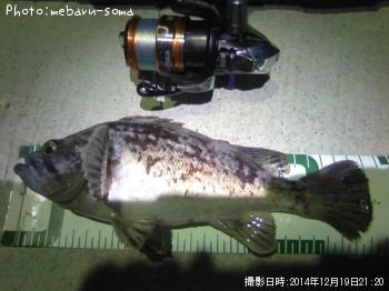 クロソイ