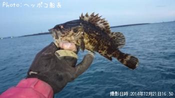 タケノコメバル